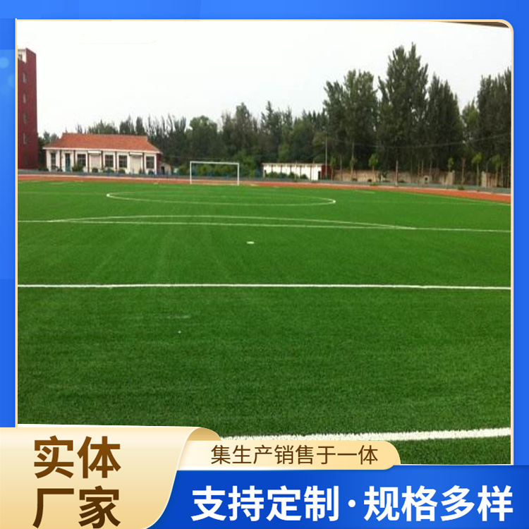 吴忠市塑胶跑道材料人造草坪 - 排名